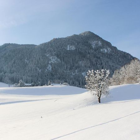 Villa Ferienhaus Weber-Haeusl à Reith im Alpbachtal Extérieur photo