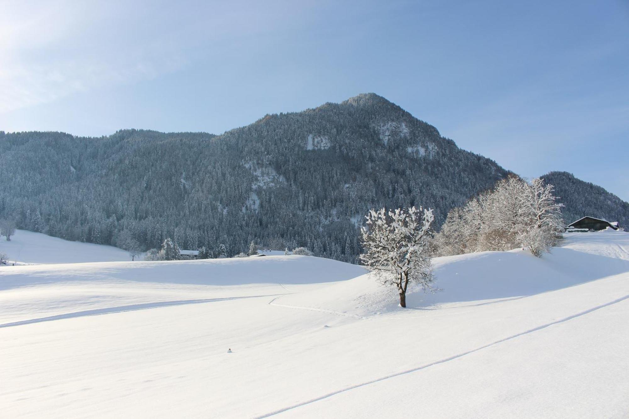 Villa Ferienhaus Weber-Haeusl à Reith im Alpbachtal Extérieur photo